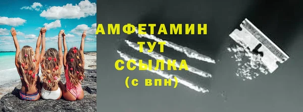 индика Белоозёрский