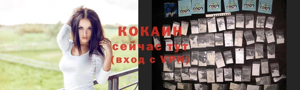 индика Белоозёрский