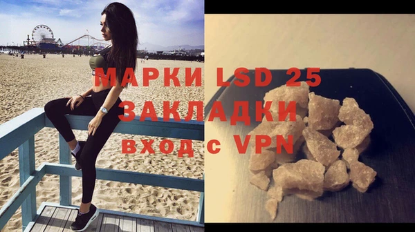 индика Белоозёрский