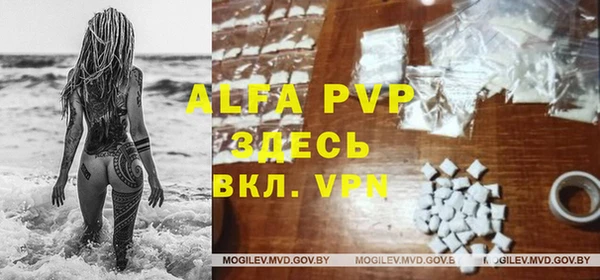 индика Белоозёрский