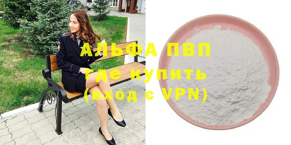 индика Белоозёрский